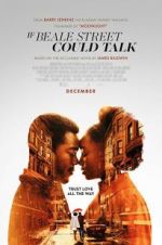 Watch If Beale Street Could Talk Zoechip
