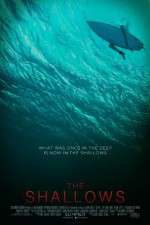 Watch The Shallows Zoechip
