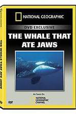 Watch Predator CSI The Whale That Ate Jaws Zoechip