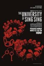 Watch Zero Percent Zoechip