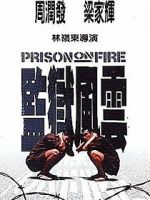 Watch Prison on Fire Zoechip