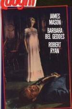 Watch Caught Zoechip