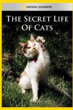 Watch National Geographic The Secret Life of Cats Zoechip