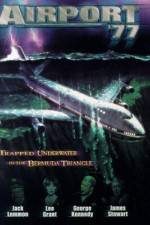 Watch Airport '77 Zoechip