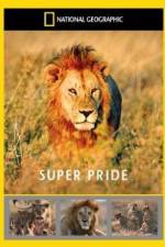 Watch National Geographic: Super Pride Africa\'s Largest Lion Pride Zoechip