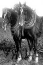 Watch All the King\'s Horses Zoechip