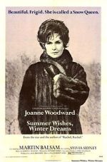 Watch Summer Wishes, Winter Dreams Zoechip