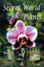 Watch The Secret World of Plants Zoechip