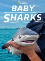 Watch Baby Sharks Zoechip