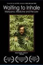 Watch Waiting to Inhale Zoechip