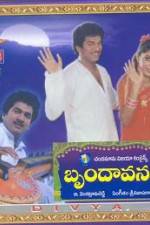 Watch Brundavanam Zoechip