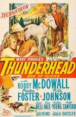 Watch Thunderhead: Son of Flicka Zoechip