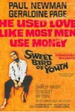 Watch Sweet Bird of Youth Zoechip