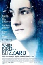 Watch White Bird in a Blizzard Zoechip