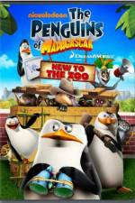 Watch Penguins of Madagascar New to the Zoo Zoechip