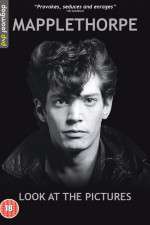 Watch Mapplethorpe: Look at the Pictures Zoechip