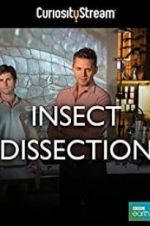 Watch Insect Dissection: How Insects Work Zoechip