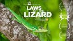 Watch Laws of the Lizard Zoechip