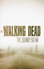 Watch The Walking Dead: The Journey So Far Zoechip