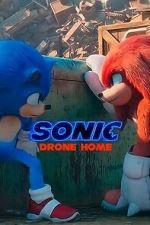 Watch Sonic Drone Home Zoechip