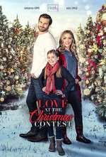 Watch Love at the Christmas Contest Zoechip