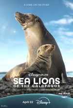 Watch Sea Lions of the Galapagos (TV Special 2025) Zoechip