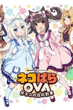 Watch Nekopara OVA Extra Zoechip