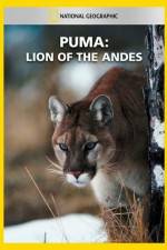 Watch National Geographic Puma: Lion of the Andes Zoechip