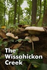 Watch The Wissahickon Creek Zoechip