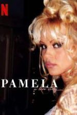 Watch Pamela, a Love Story Zoechip
