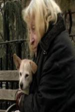 Watch Water in the Boat Zoechip