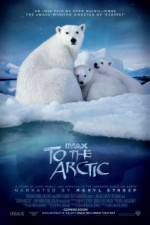 Watch To the Arctic 3D Zoechip