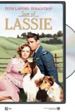 Watch Son of Lassie Zoechip