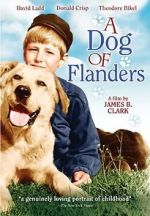 Watch A Dog of Flanders Zoechip