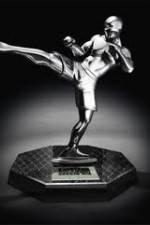 Watch World MMA Awards 2010 Zoechip