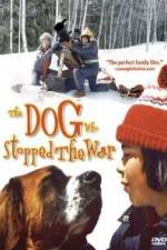 Watch La guerre des tuques Zoechip