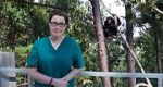 Watch Sue Perkins and the Chimp Sanctuary Zoechip