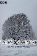 Watch Tales of Winter: The Art of Snow and Ice Zoechip