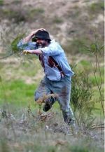 Watch Riot or Revolution: Eureka Stockade 1854 Zoechip