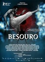 Watch The Assailant Zoechip