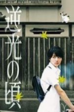 Watch Lights of Kyoto Zoechip