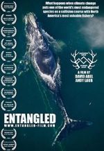 Watch Entangled: The Race to Save Right Whales from Extinction Zoechip