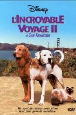Watch Homeward Bound II Lost in San Francisco Zoechip