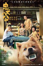 Watch Hachiko Zoechip