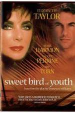 Watch Sweet Bird of Youth Zoechip