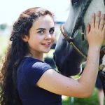 Watch Wildfire: The Legend of the Cherokee Ghost Horse Zoechip