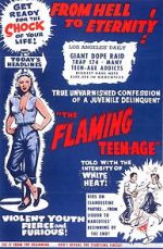 Watch The Flaming Teenage Zoechip