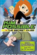 Watch "Kim Possible" Attack of the Killer Bebes Zoechip