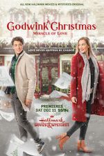 Watch A Godwink Christmas: Miracle of Love Zoechip