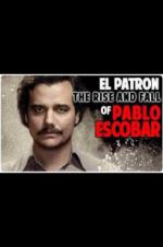 Watch The Rise and Fall of Pablo Escobar Zoechip